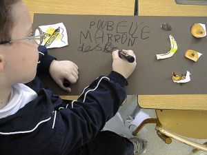 préparation poubelle marron